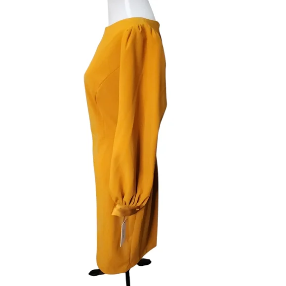 NWT Calvin Klein Amber Long Sleeve Retro 1970s Style Size 10 - Picture 6 of 9